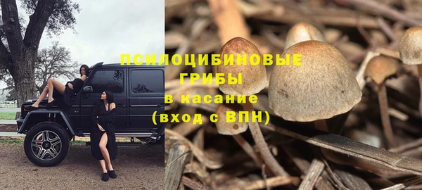 бошки Вяземский